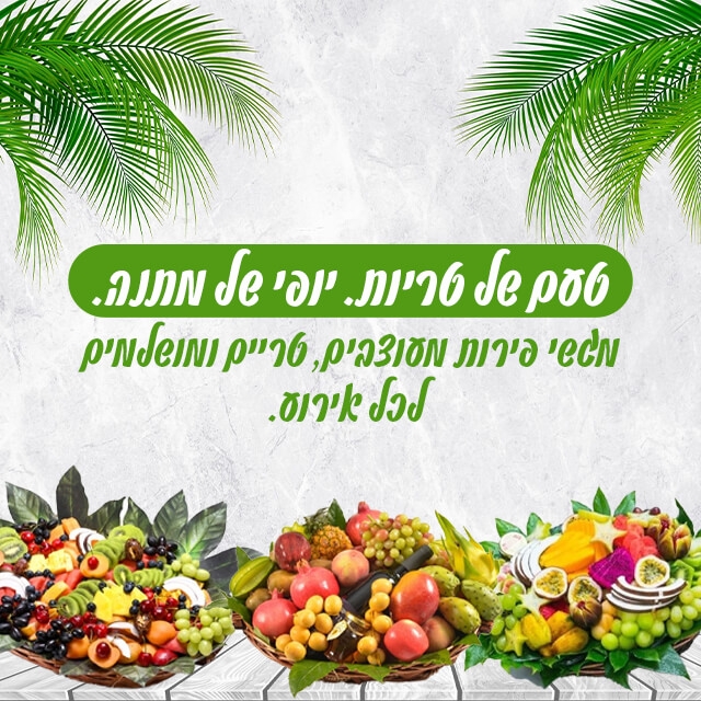 סלסלת פירות